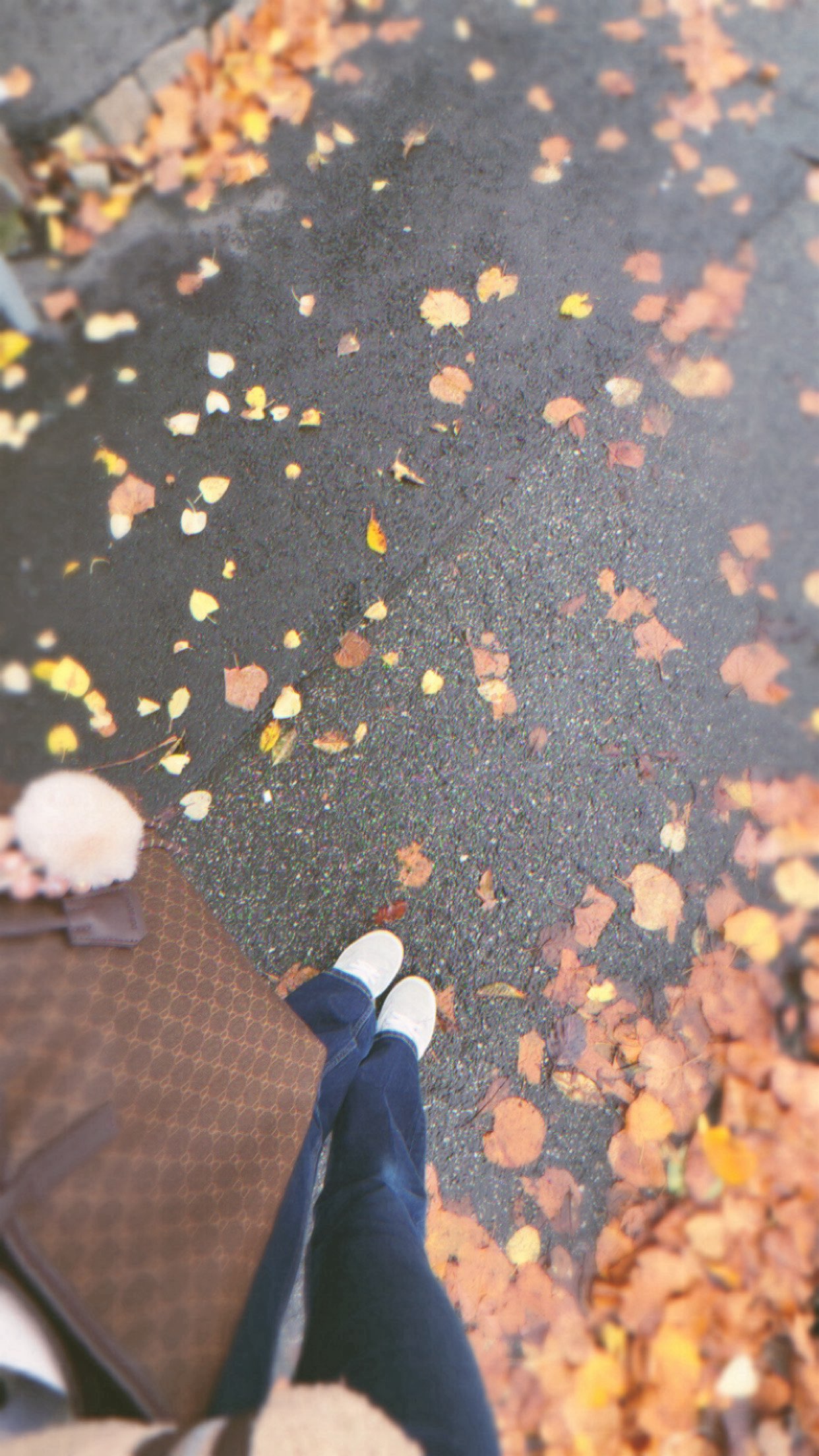 xeliabunny snapchat image archive image