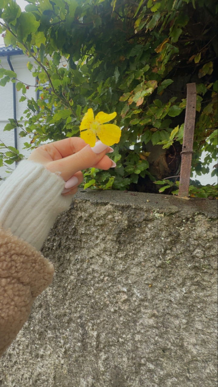 xeliabunny snapchat image archive image