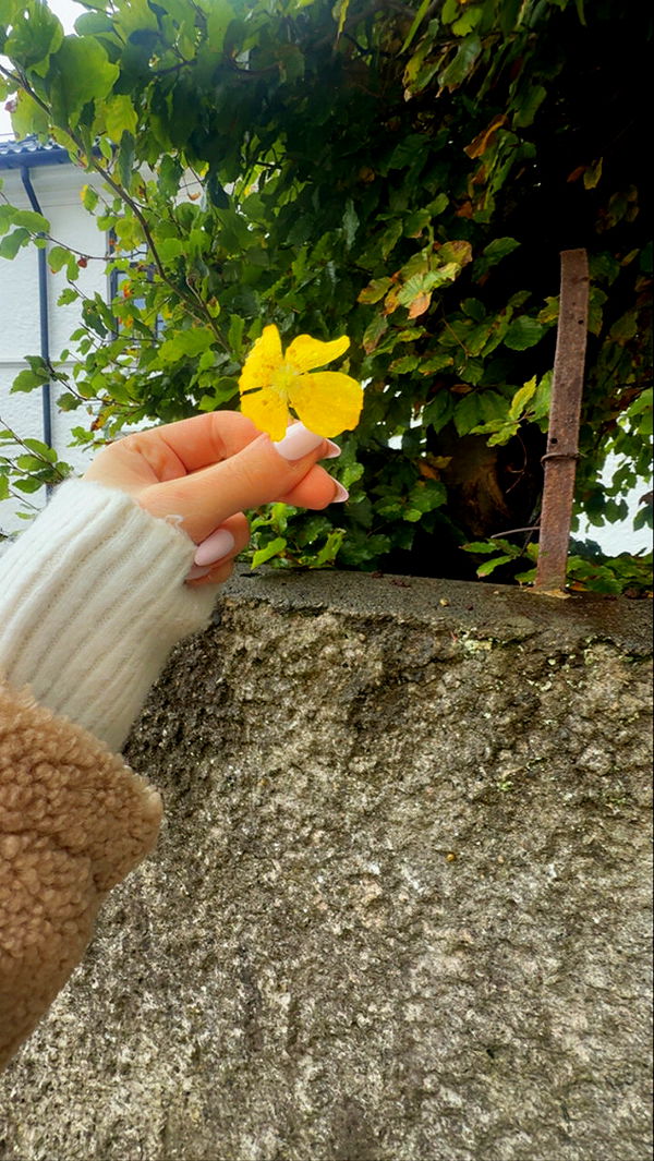 xeliabunny image ~ Altpins