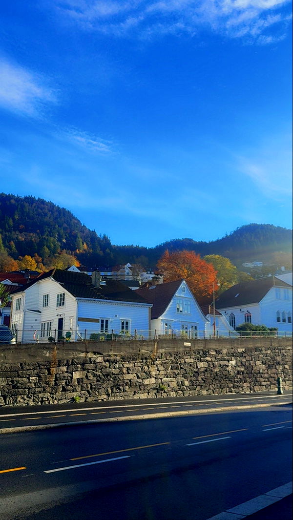 xeliabunny image ~ Altpins