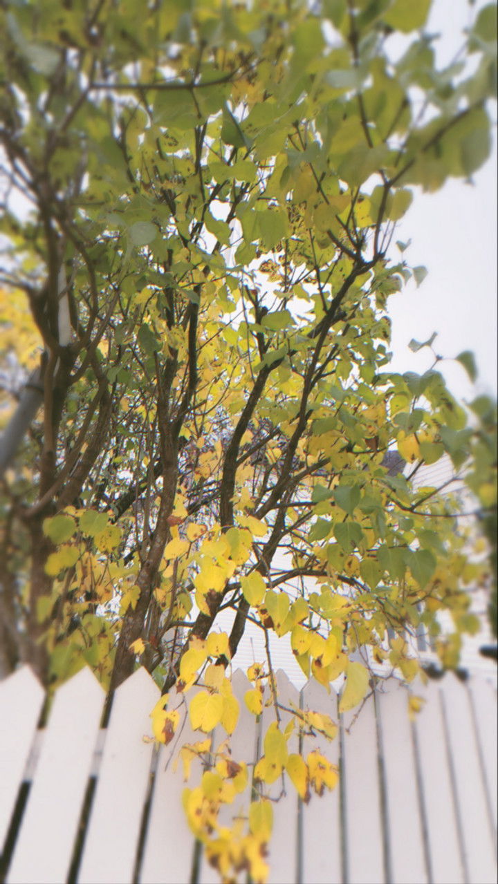 xeliabunny snapchat image archive image