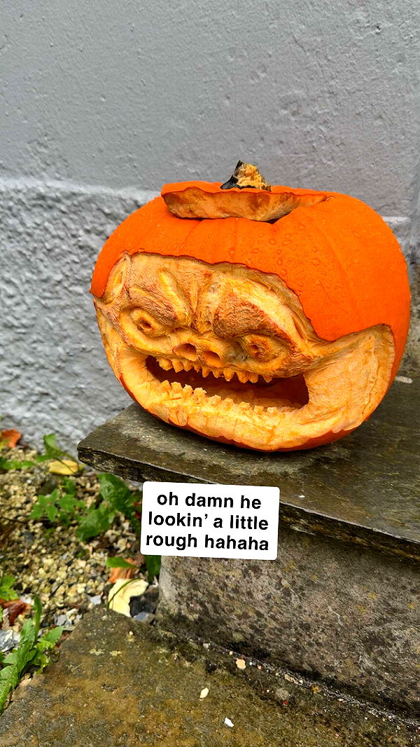 xeliabunny image ~ Altpins