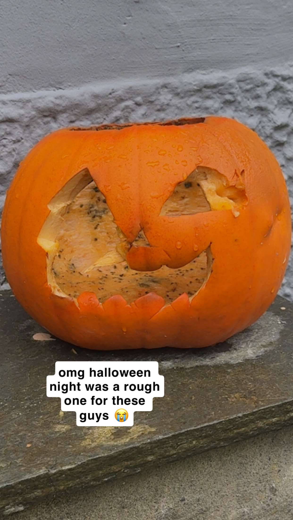 xeliabunny snapchat image archive image