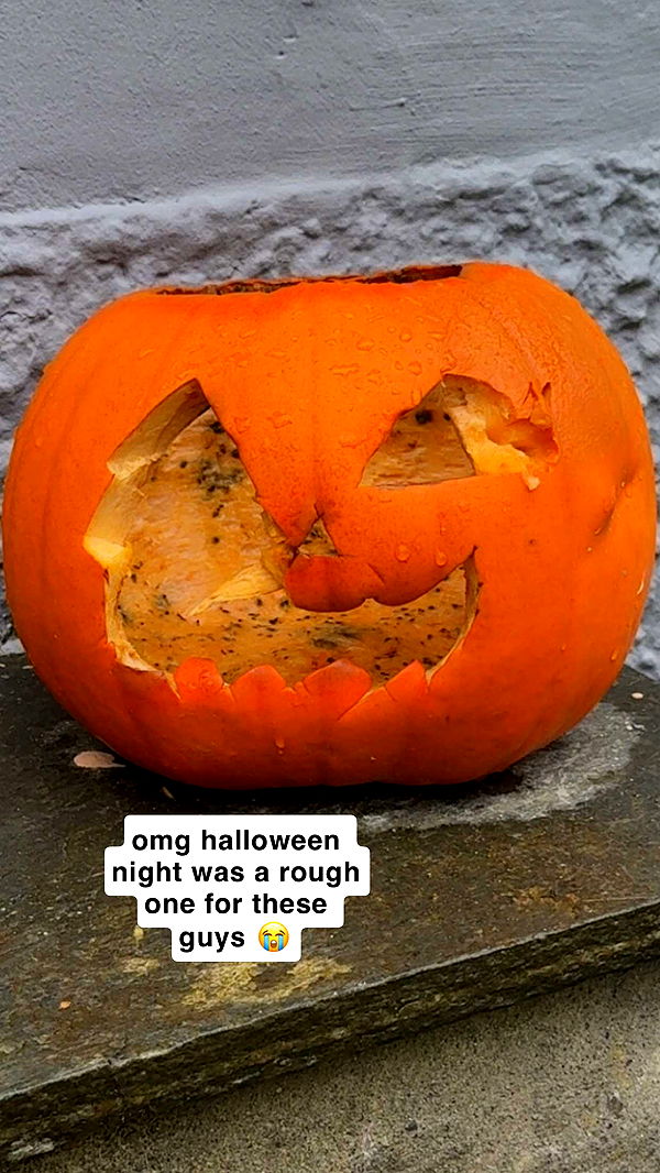 xeliabunny image ~ Altpins