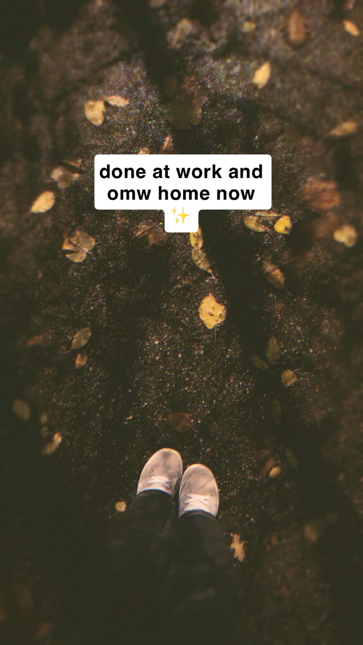 xeliabunny snapchat image archive image