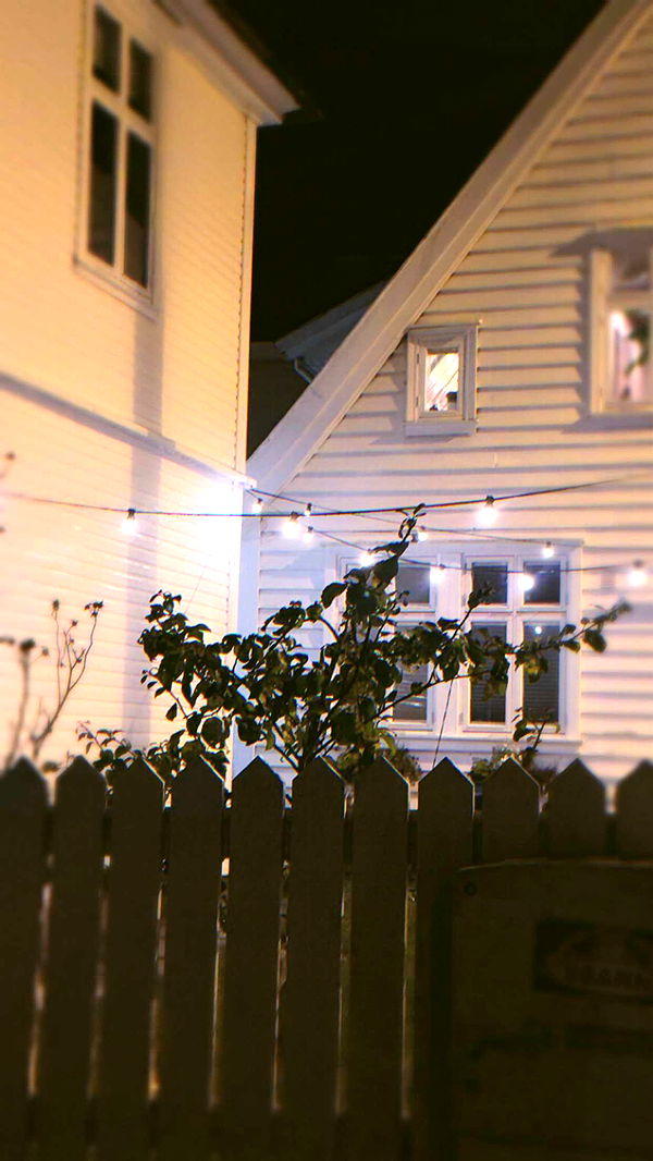 xeliabunny image ~ Altpins