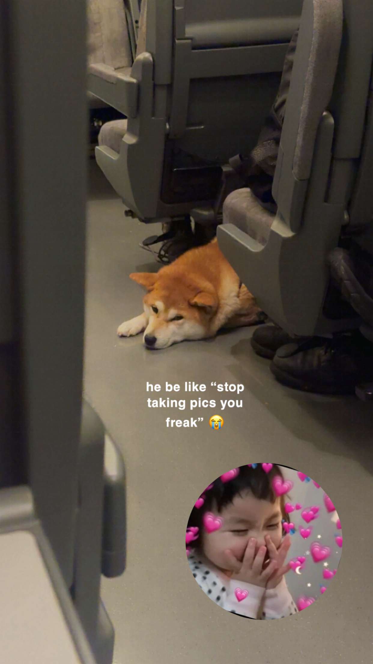 xeliabunny snapchat image archive image