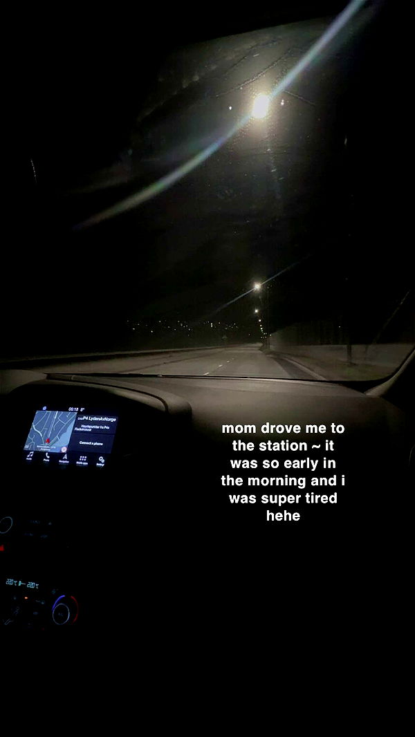 xeliabunny image ~ Altpins