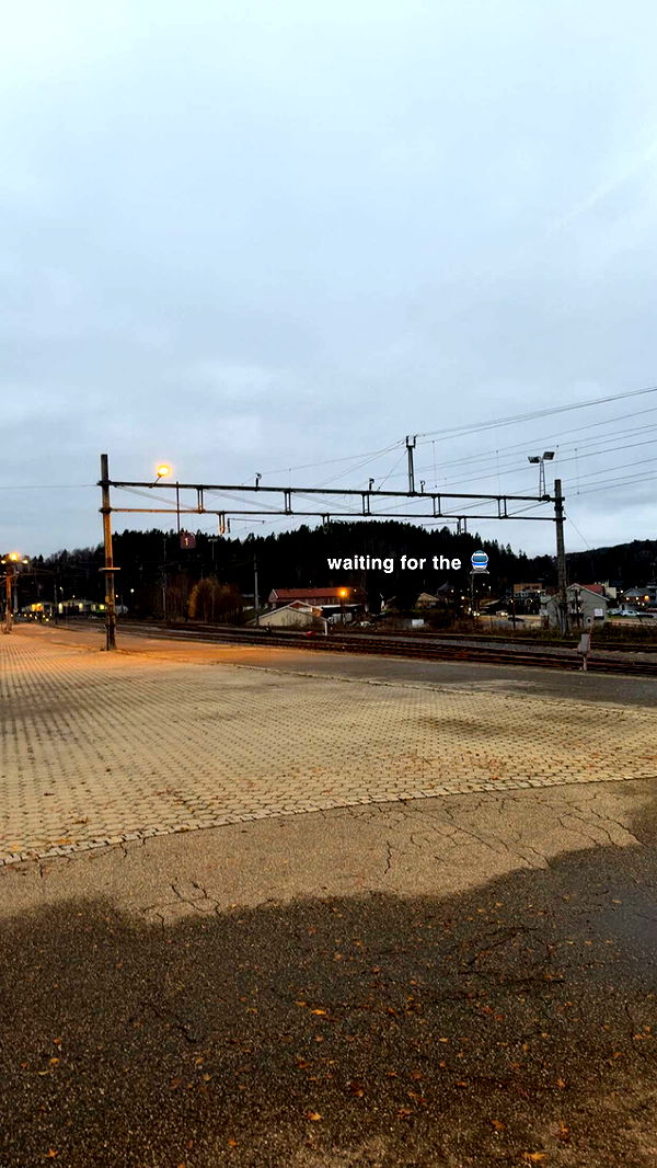 xeliabunny image ~ Altpins