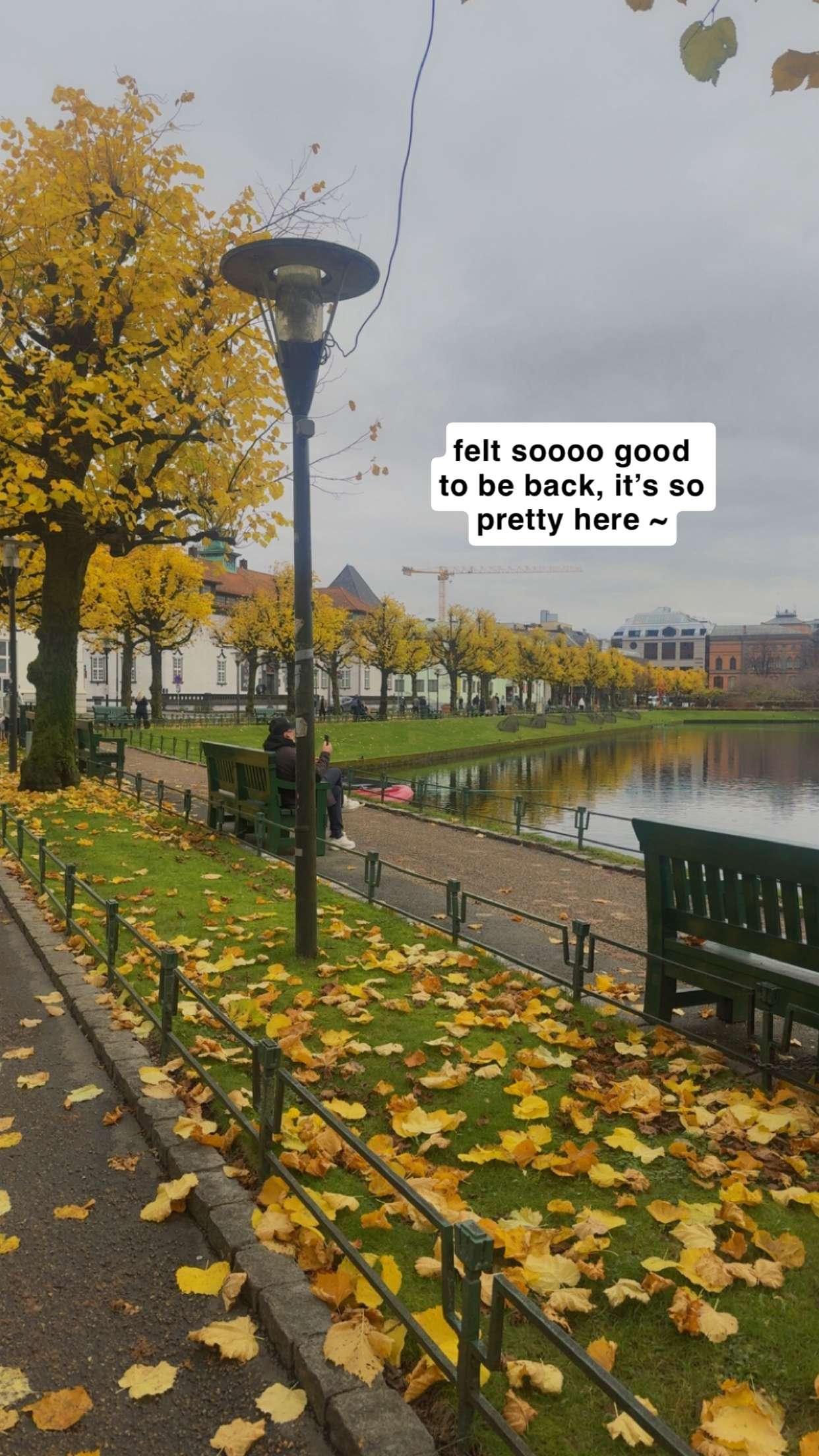 xeliabunny snapchat image archive image