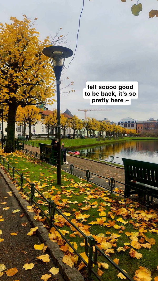 xeliabunny image ~ Altpins