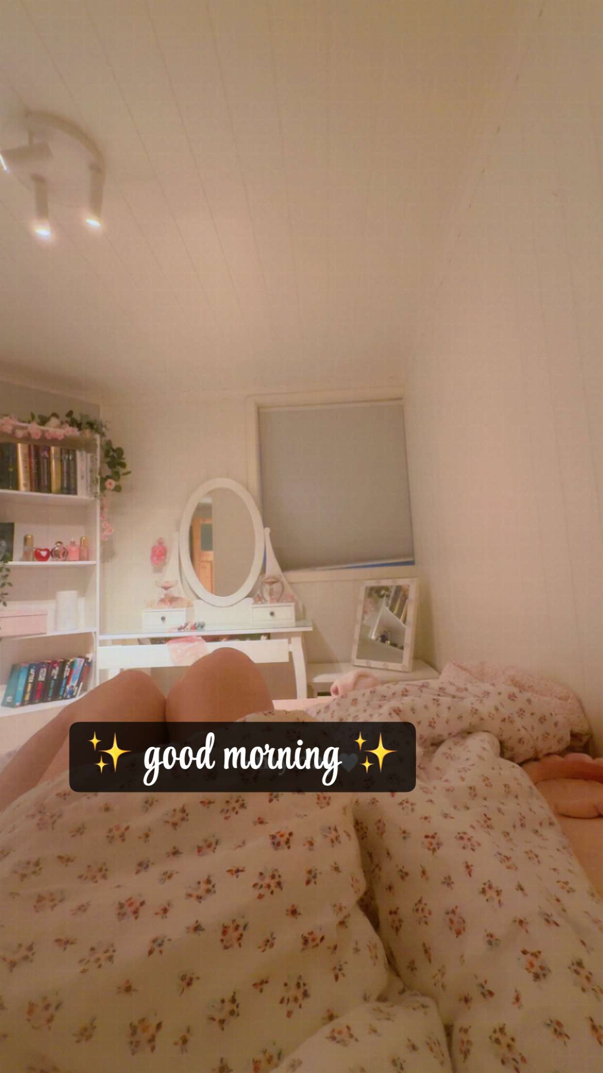 xeliabunny snapchat image archive image