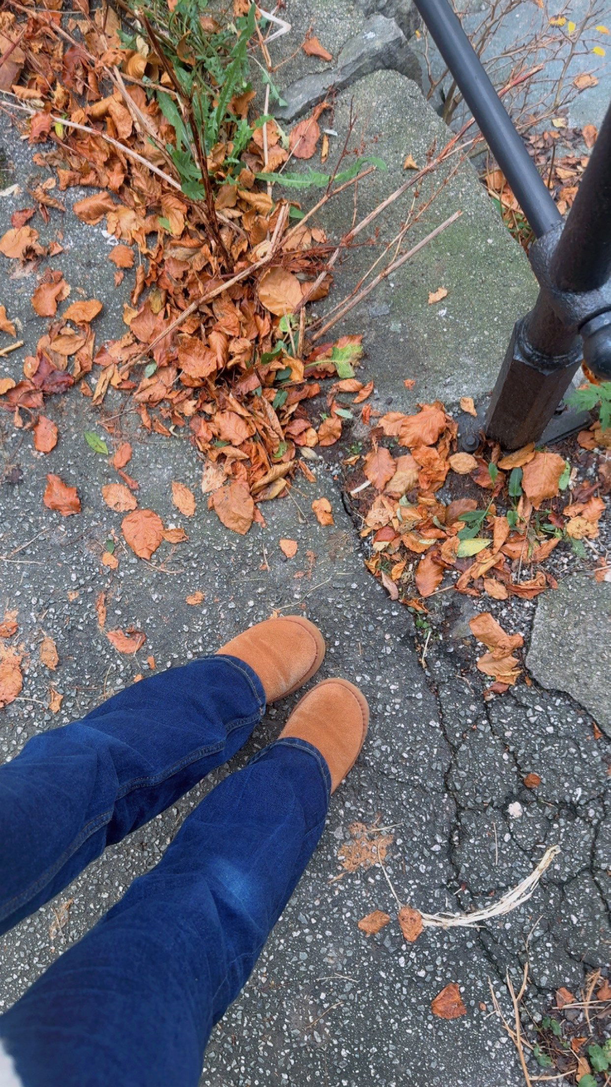 xeliabunny snapchat image archive image