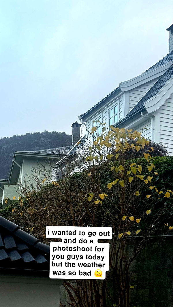 xeliabunny image ~ Altpins