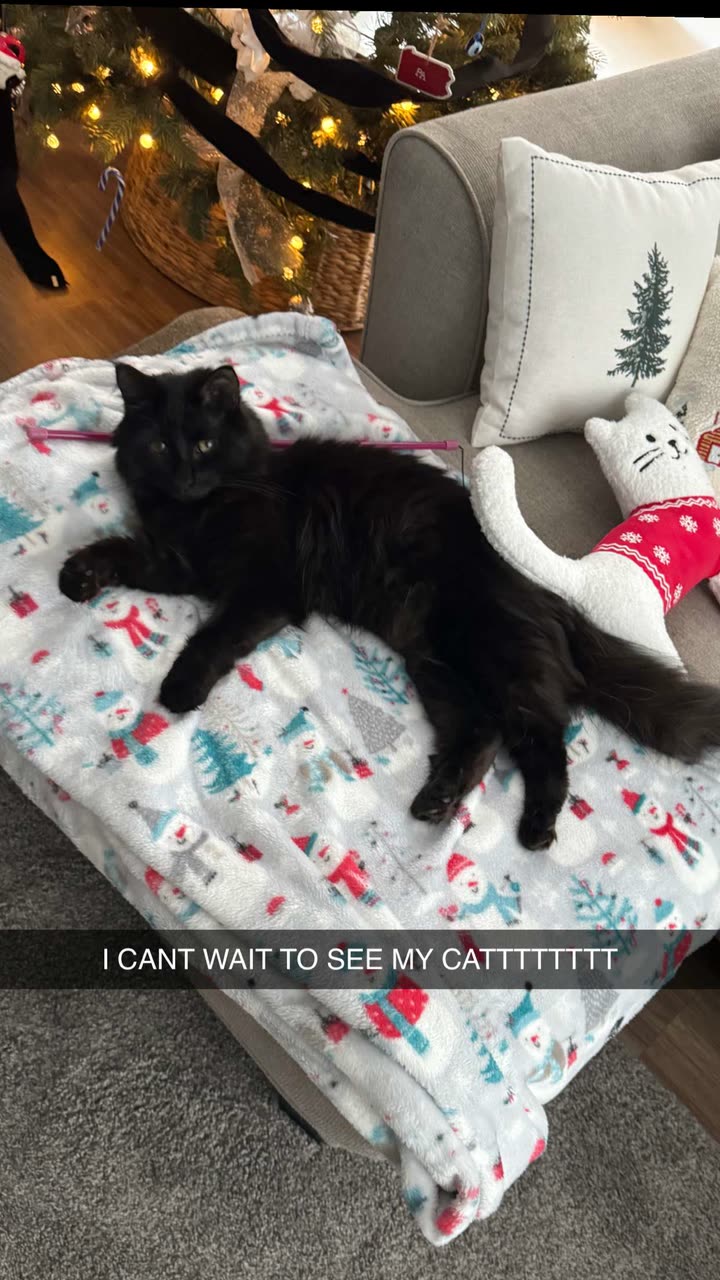 xxxtinacarmella snapchat image archive image