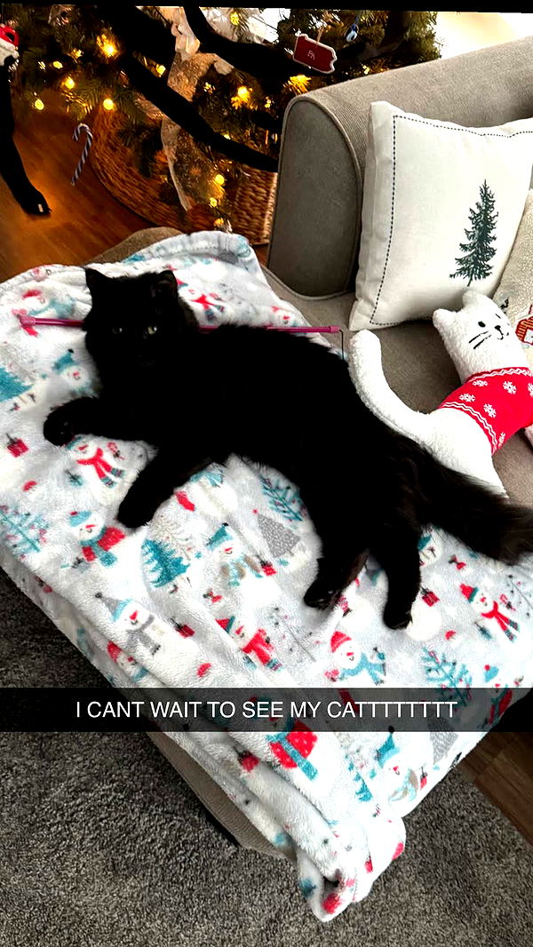 xxxtinacarmella image ~ Altpins