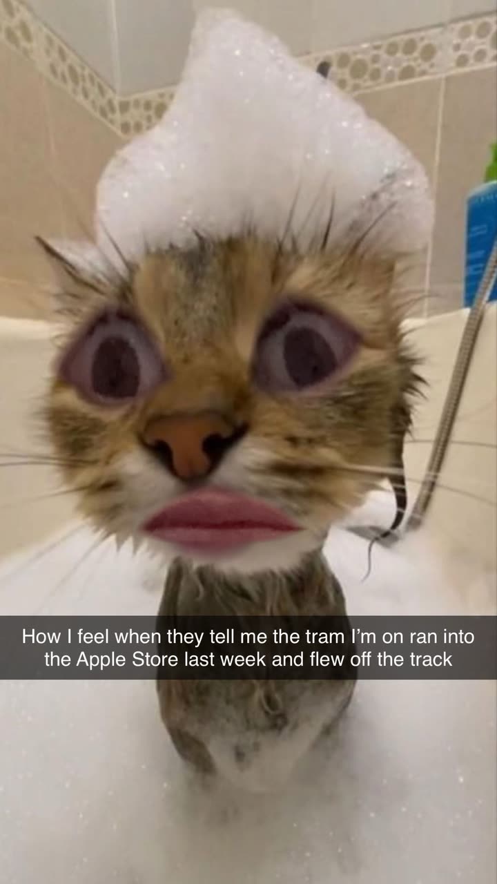 xxxtinacarmella snapchat image archive image