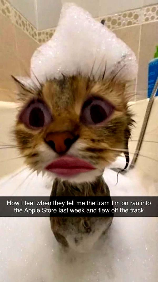 xxxtinacarmella image ~ Altpins