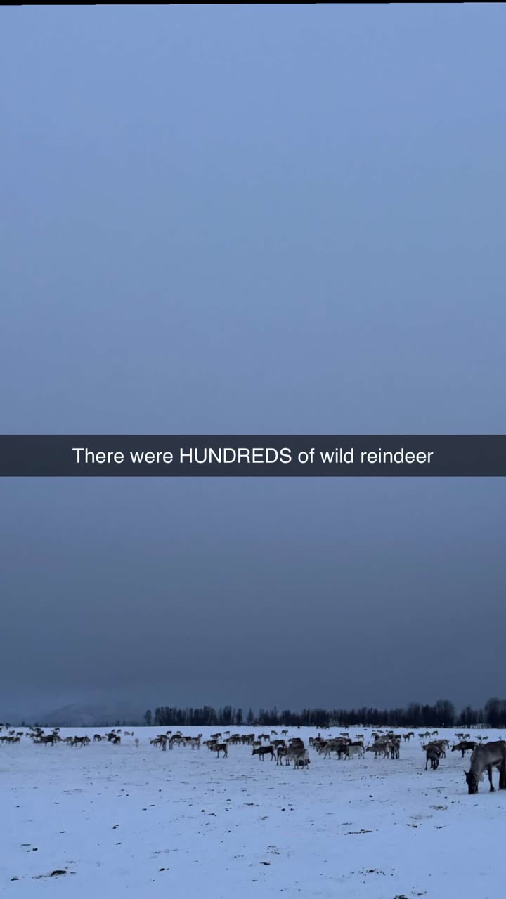 xxxtinacarmella snapchat image archive image