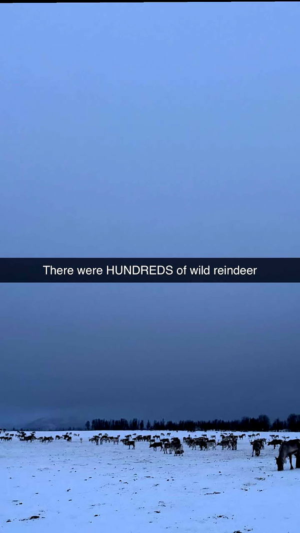 xxxtinacarmella image ~ Altpins