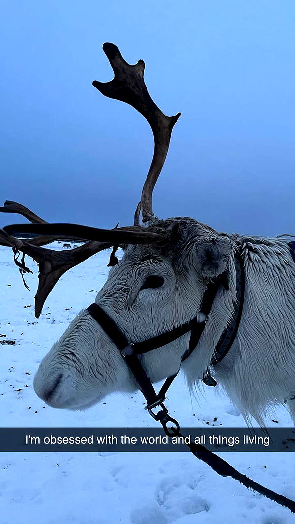 xxxtinacarmella image ~ Altpins