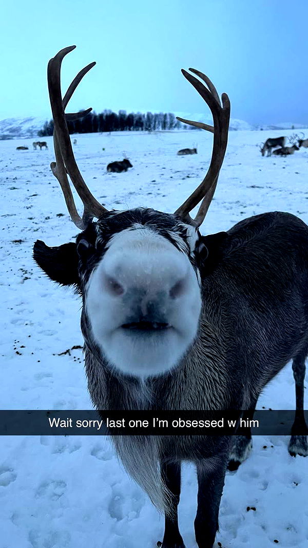 xxxtinacarmella image ~ Altpins