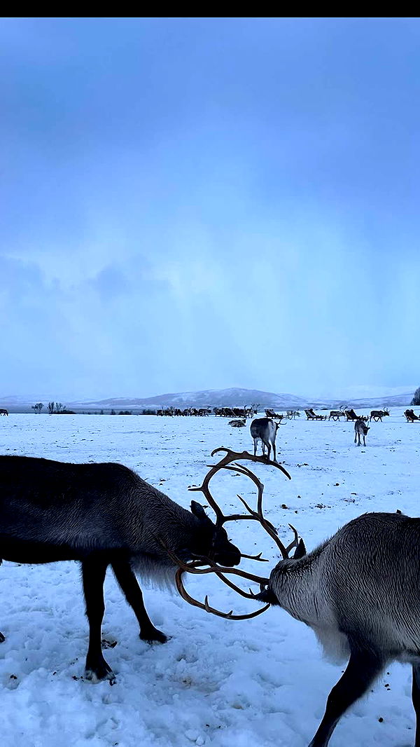 xxxtinacarmella image ~ Altpins