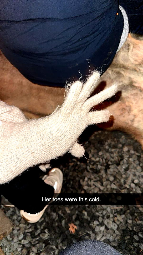 xxxtinacarmella image ~ Altpins