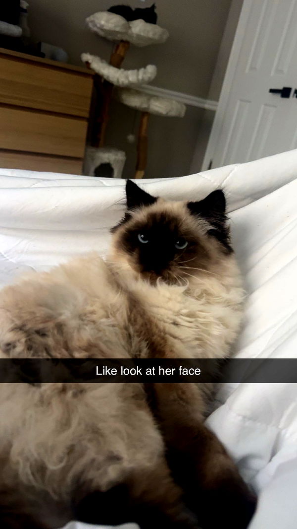 xxxtinacarmella image ~ Altpins