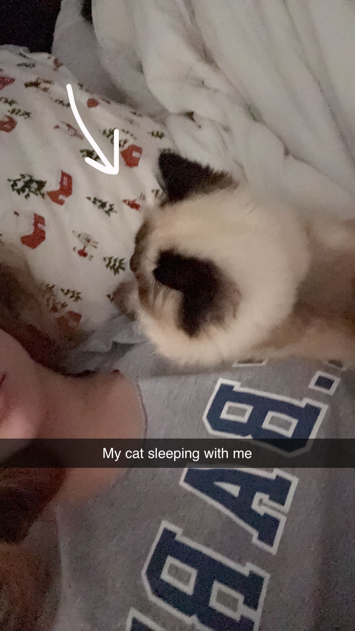 xxxtinacarmella snapchat image archive image