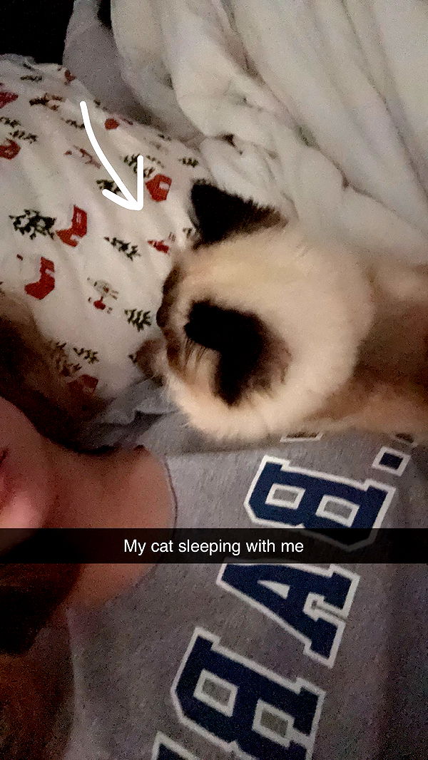 xxxtinacarmella image ~ Altpins