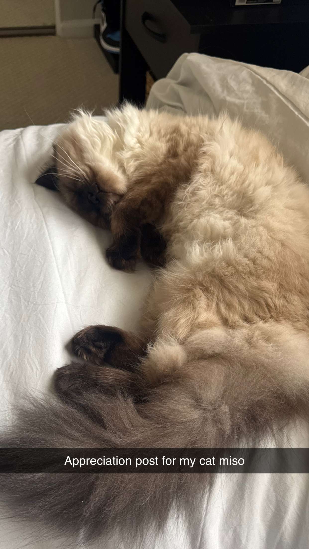 xxxtinacarmella snapchat image archive image