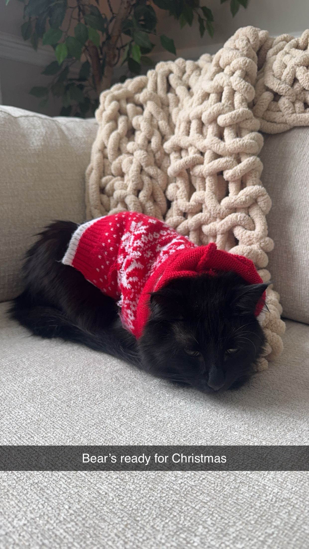 xxxtinacarmella snapchat image archive image