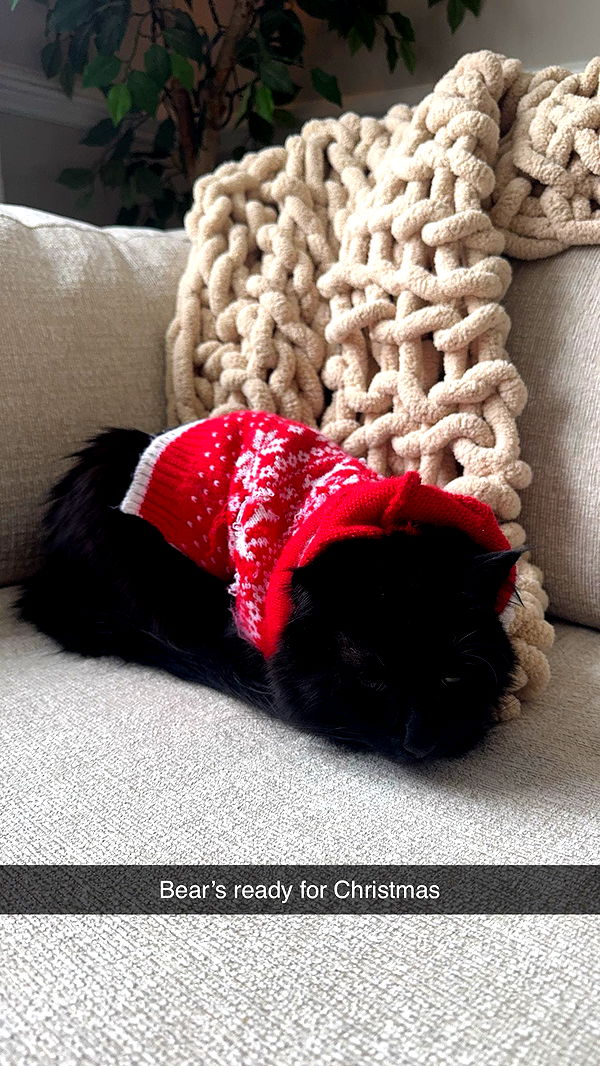 xxxtinacarmella image ~ Altpins