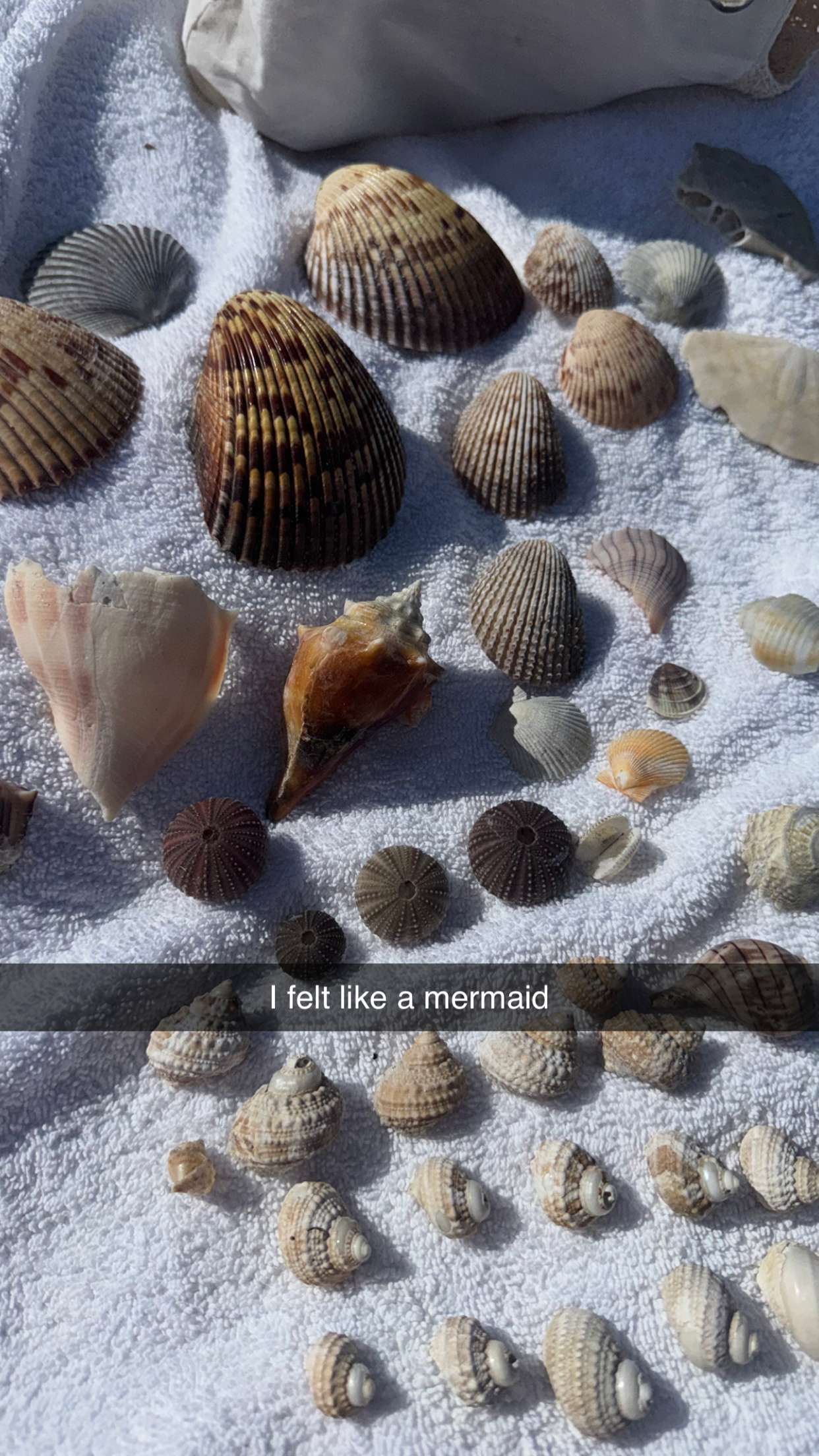 xxxtinacarmella snapchat image archive image