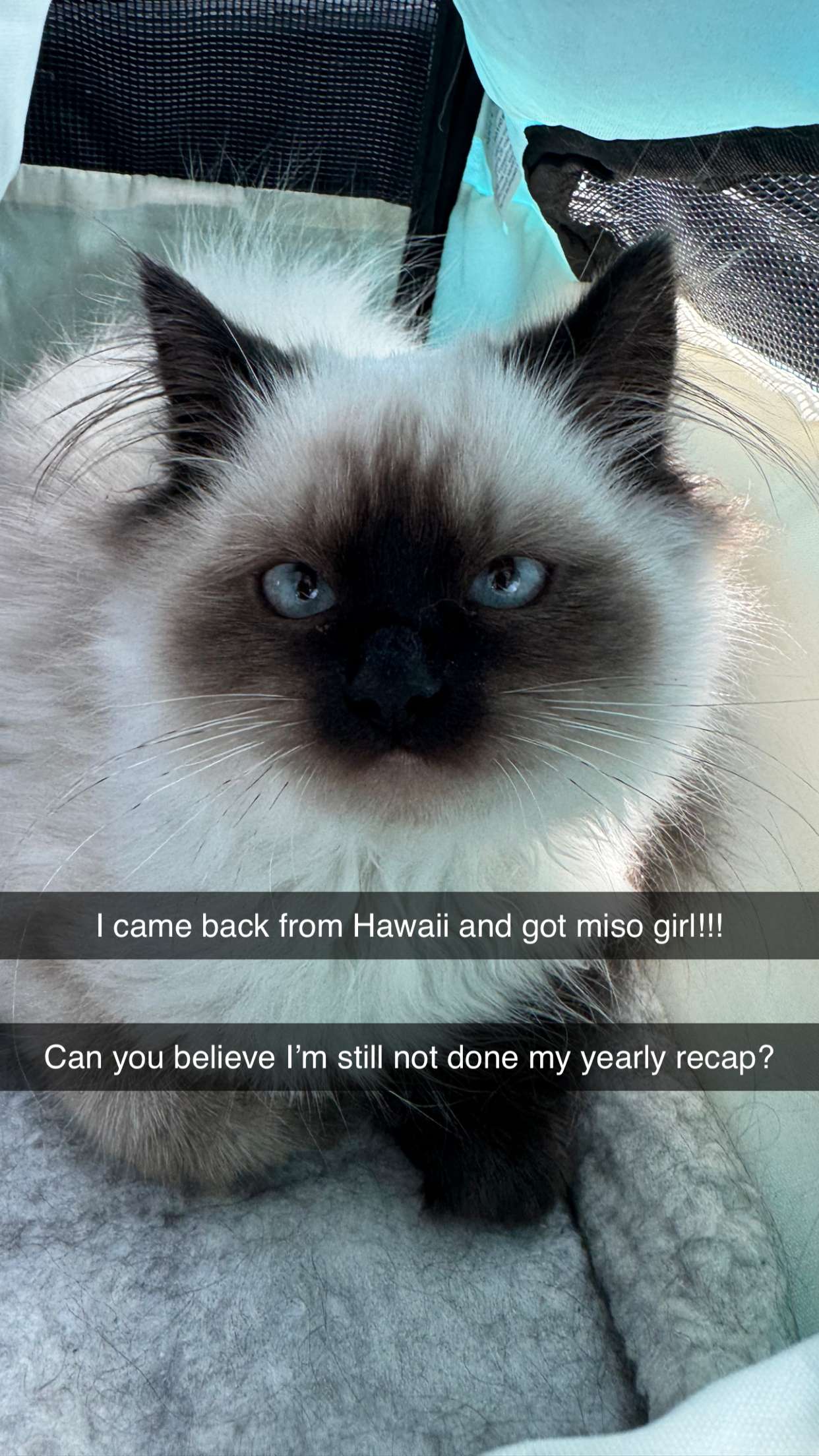 xxxtinacarmella snapchat image archive image