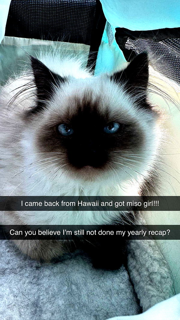 xxxtinacarmella image ~ Altpins