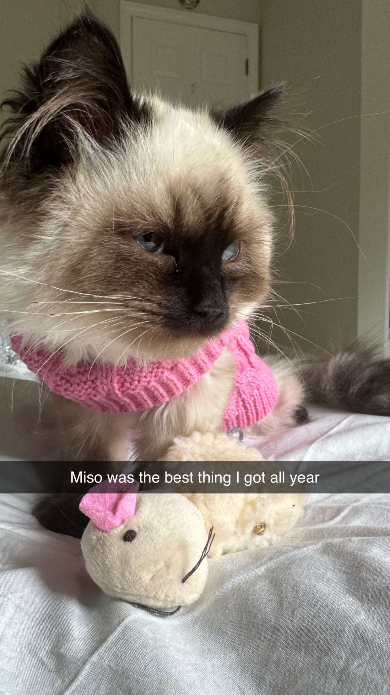 xxxtinacarmella snapchat image archive image