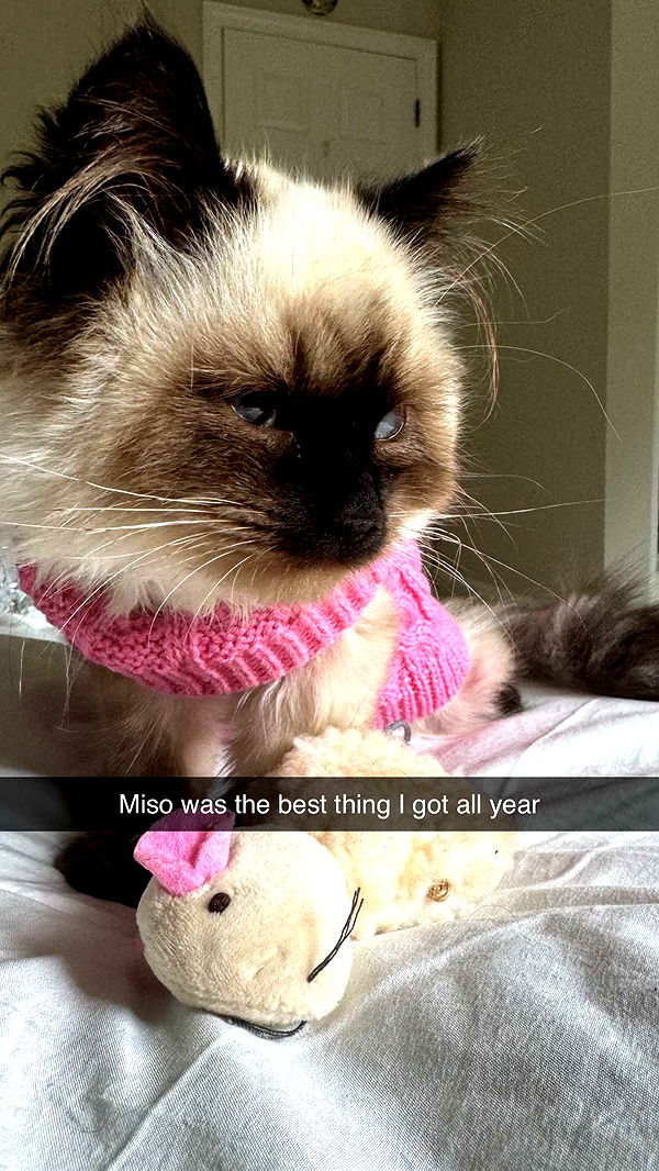 xxxtinacarmella image ~ Altpins