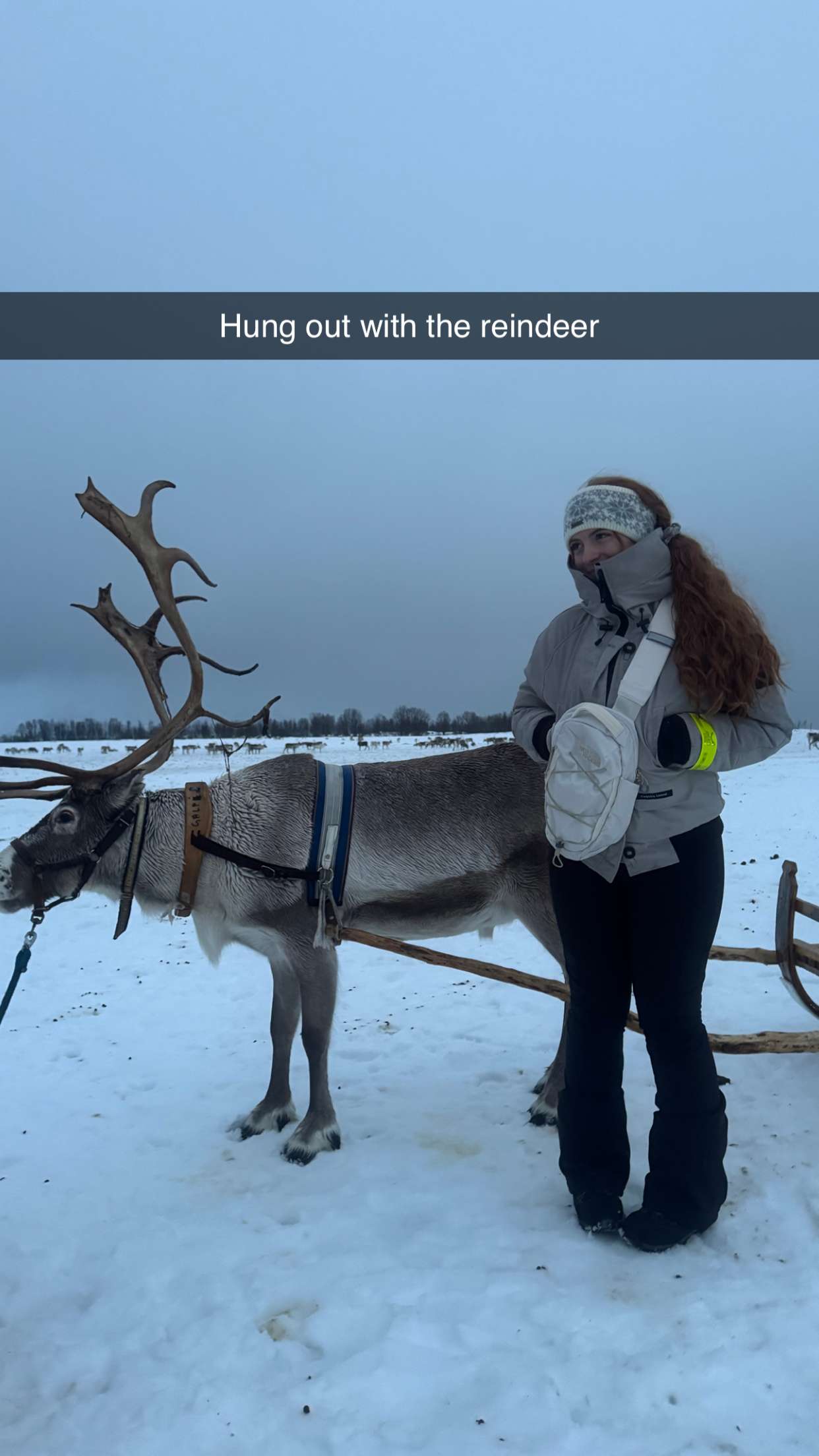 xxxtinacarmella snapchat image archive image