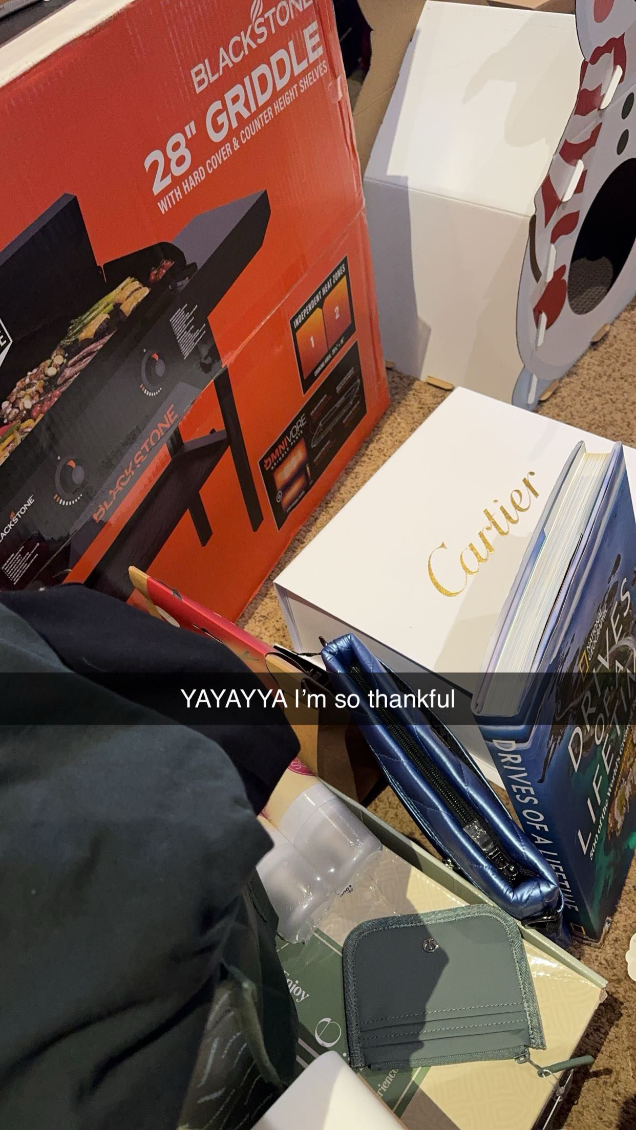 xxxtinacarmella snapchat image archive image