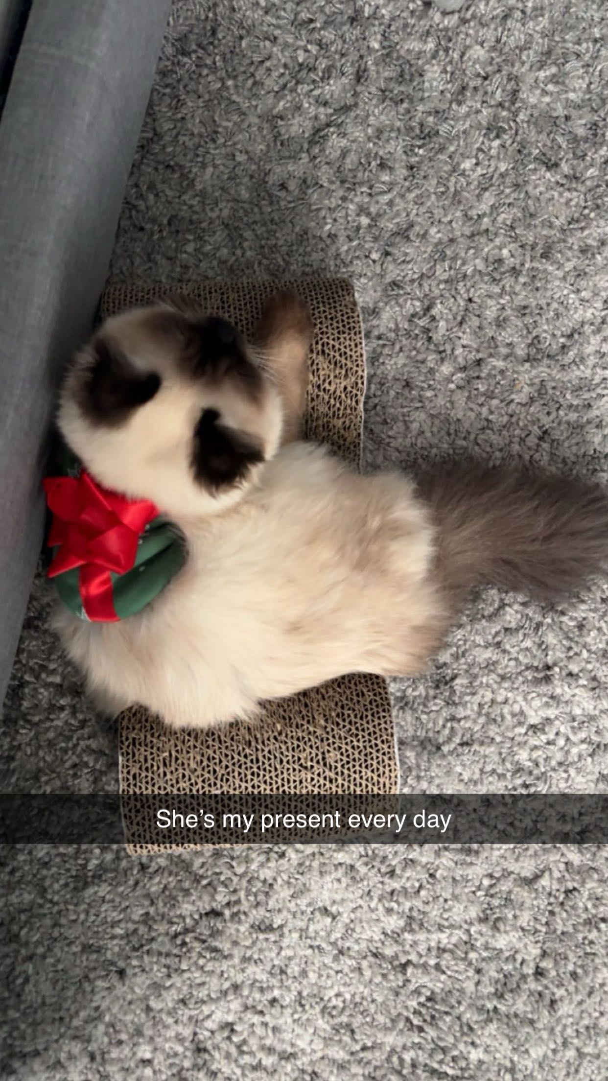 xxxtinacarmella snapchat image archive image