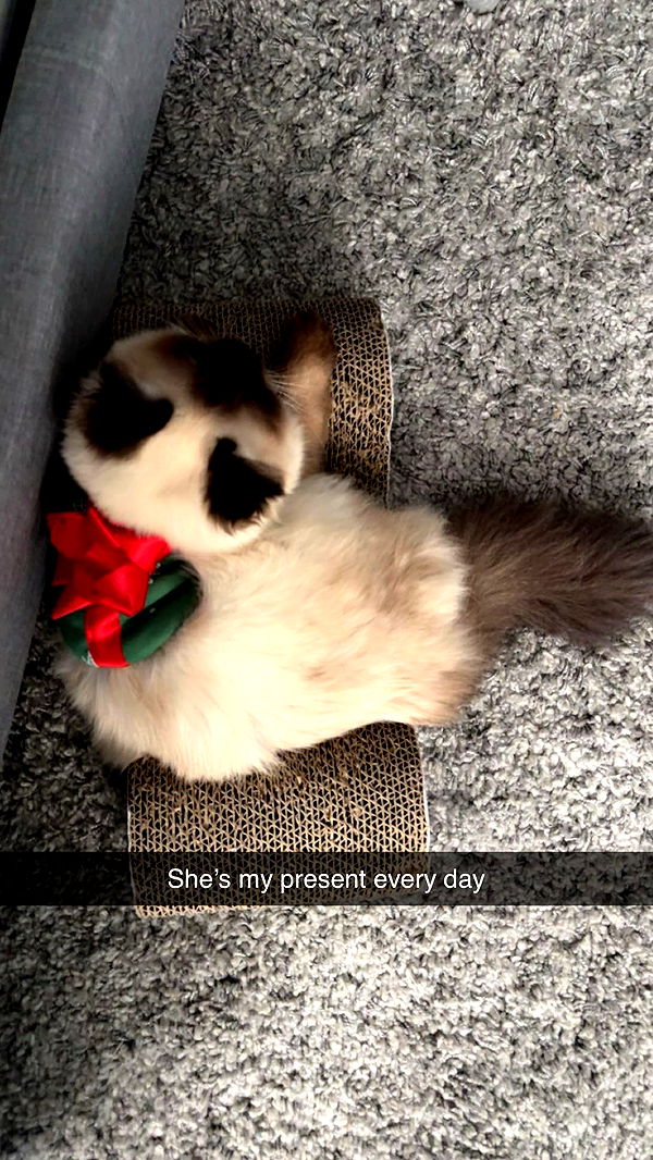 xxxtinacarmella image ~ Altpins