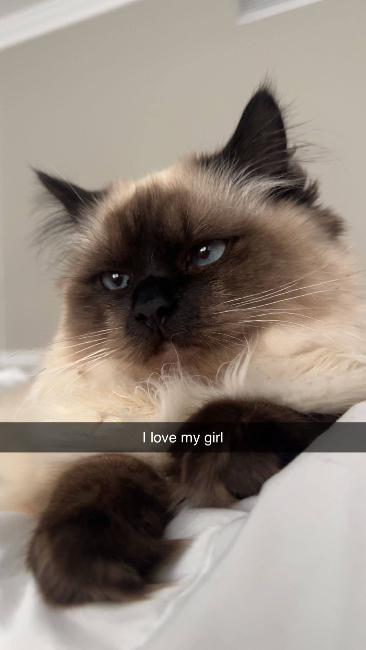 xxxtinacarmella snapchat image archive image