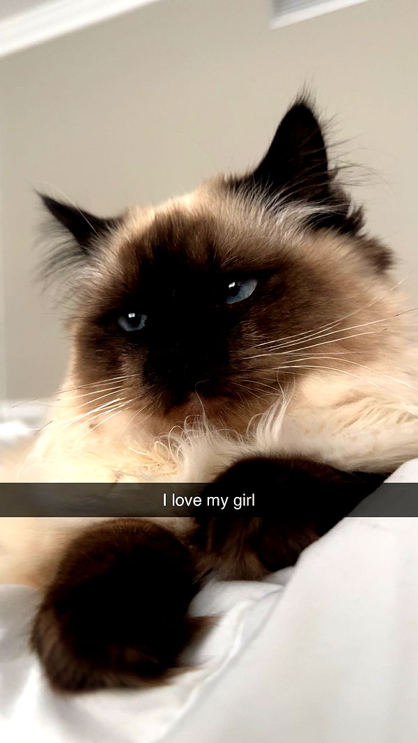 xxxtinacarmella image ~ Altpins