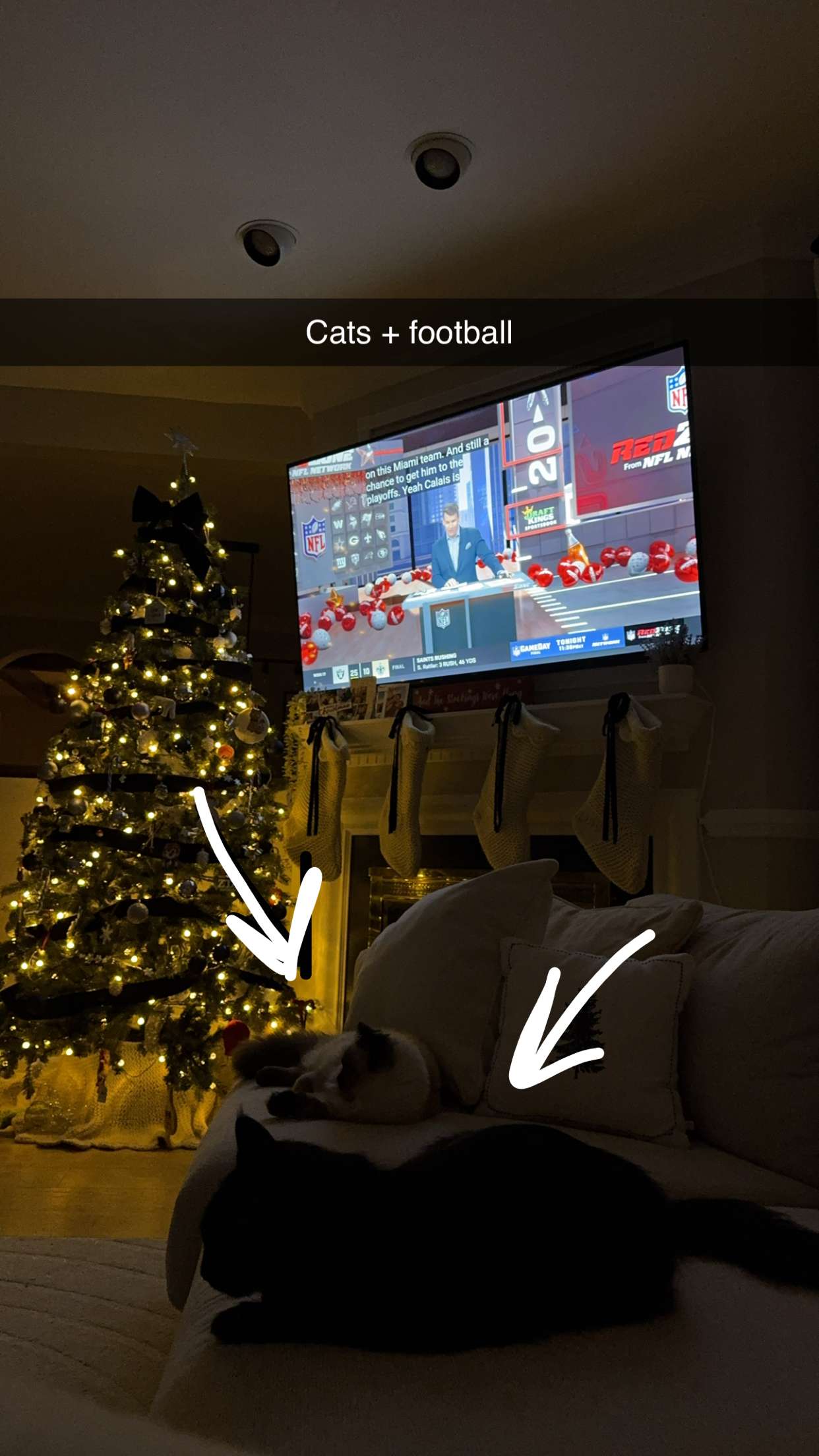 xxxtinacarmella snapchat image archive image