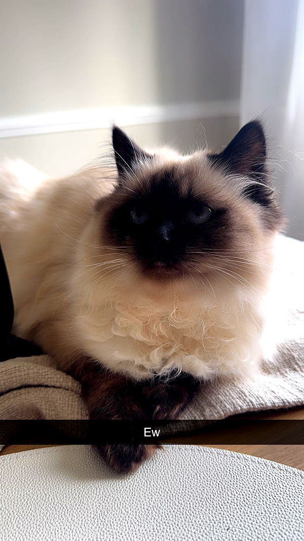 xxxtinacarmella image ~ Altpins