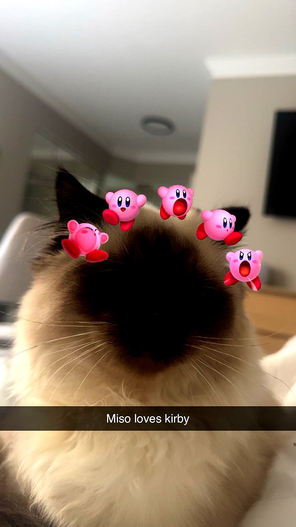 xxxtinacarmella snapchat image archive image