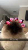 xxxtinacarmella Altpins Profile Picture