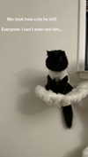 xxxtinacarmella Altpins Profile Picture